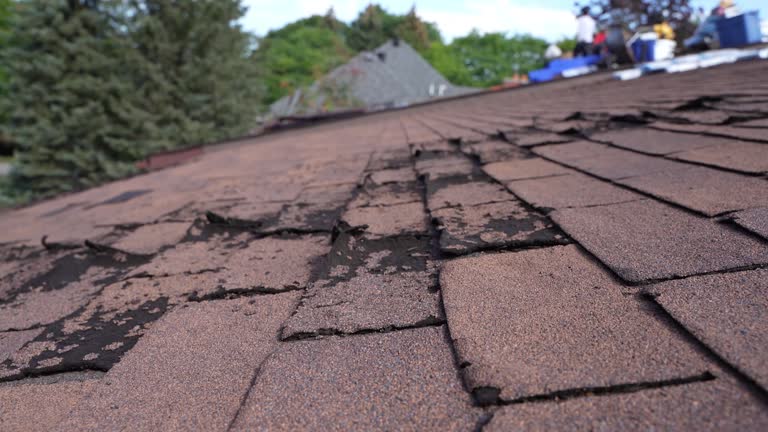 Best Metal Roofing Installation  in Pearland, TX
