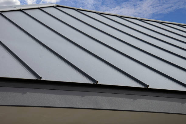 Best Roof Moss and Algae Removal  in Pearland, TX